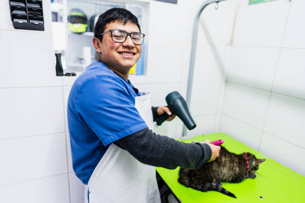 Veterinary Assistant Jobs – Animal Care Careers