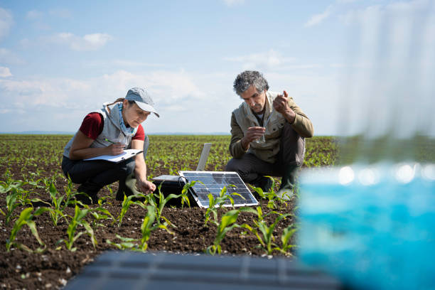 Agriculture research jobs