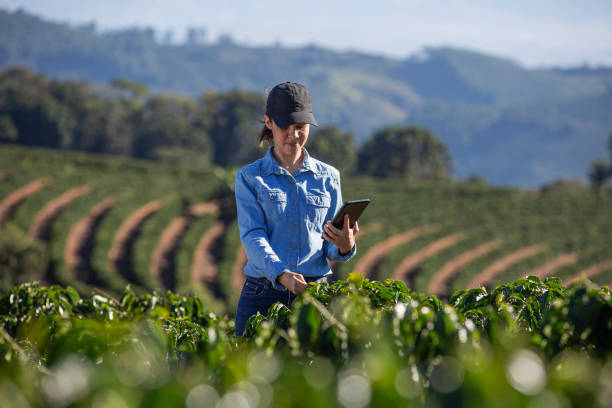 Farming Jobs – Work Opportunities in Agriculture